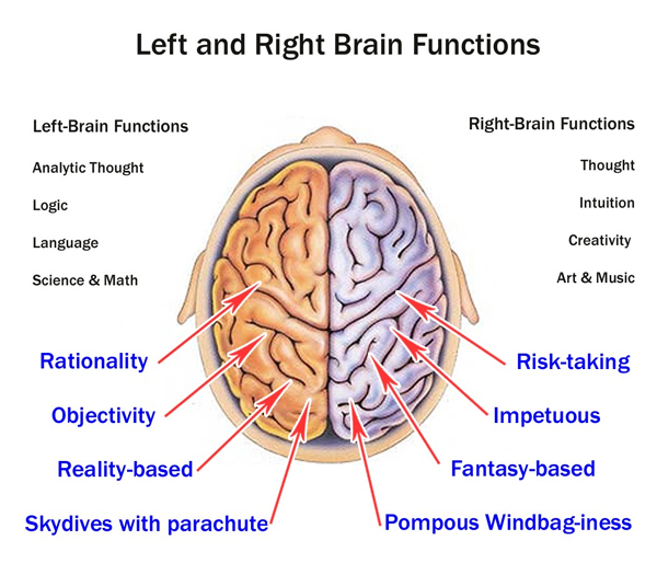 Connection of Brain & Fingers